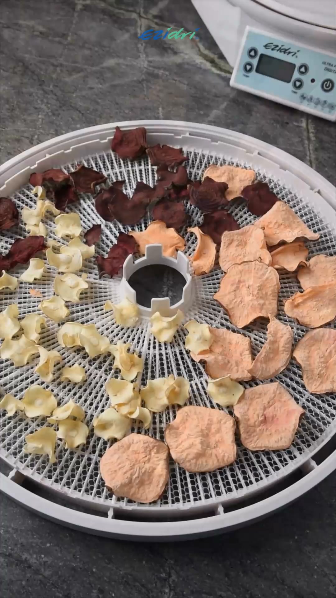 Dein Dörrgerät kann all diese gesunden Snacks machen?! 20 % Rabatt, nur für kurze Zeit.