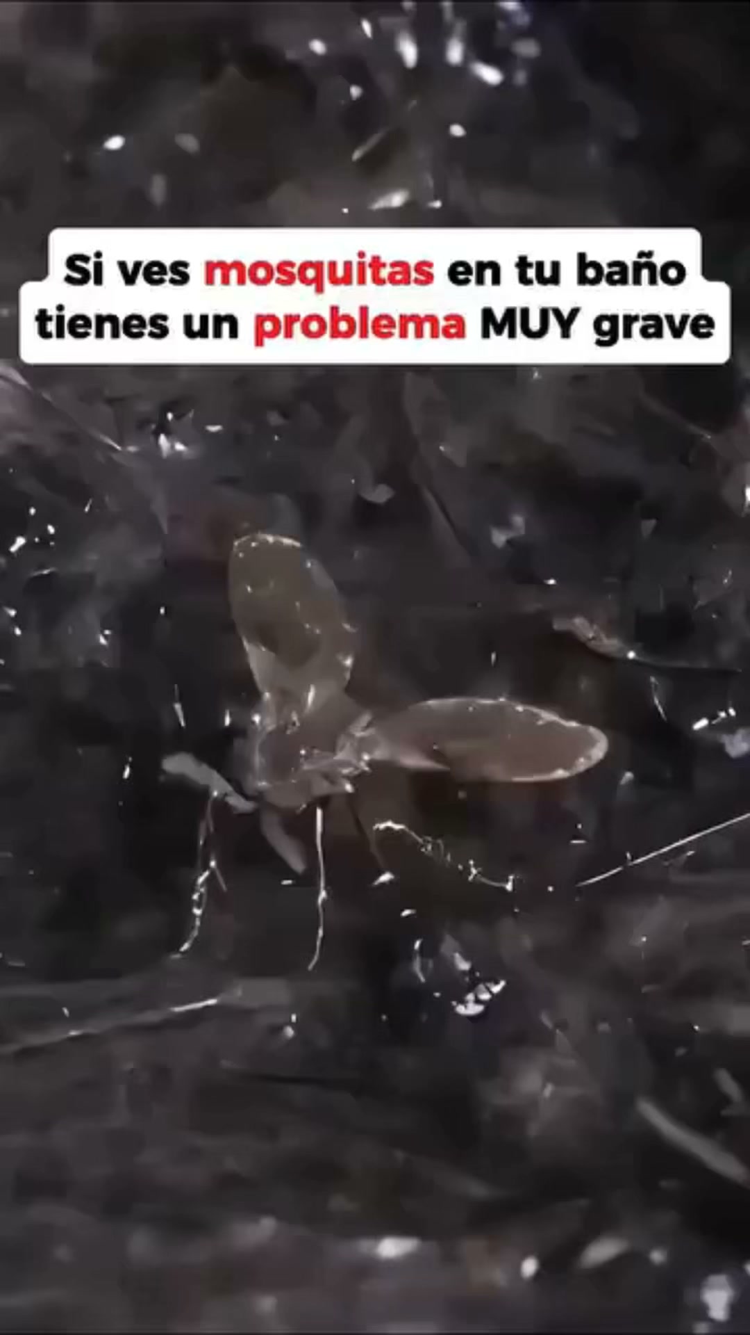 Paga al recibir, sin riesgos