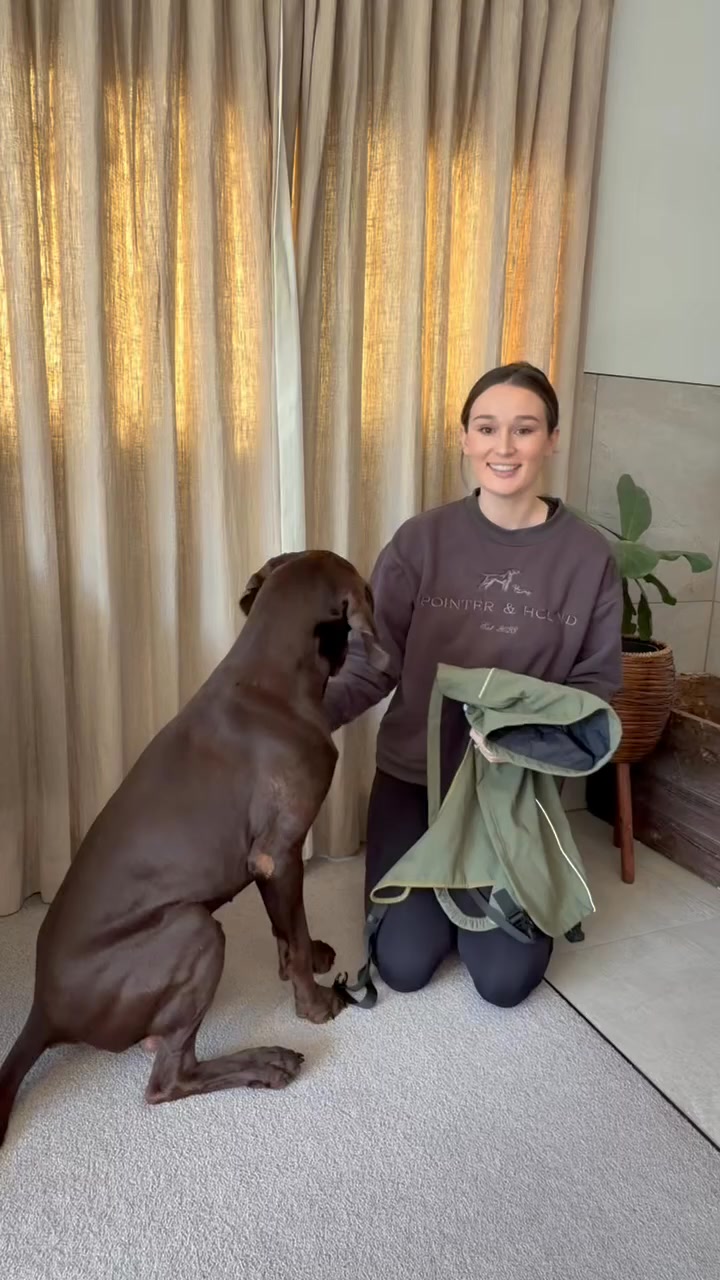 Waterproof Dogs Jackets
