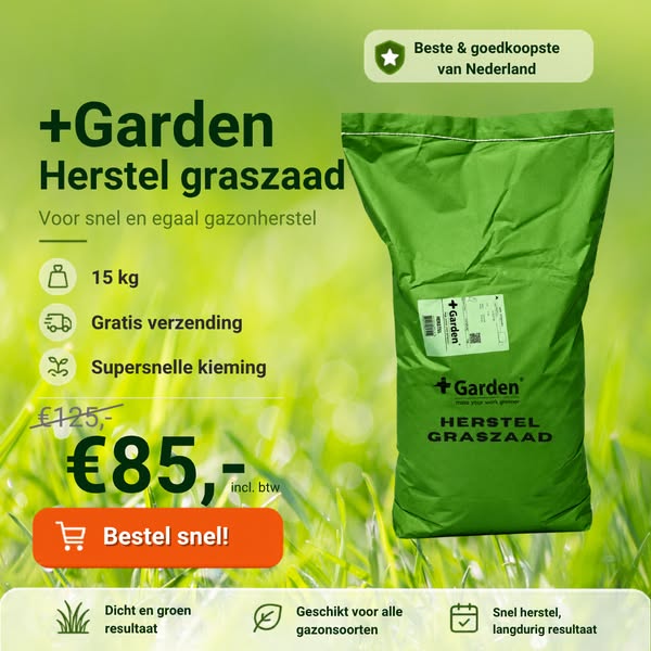 Voor een dichte groene grasmat
