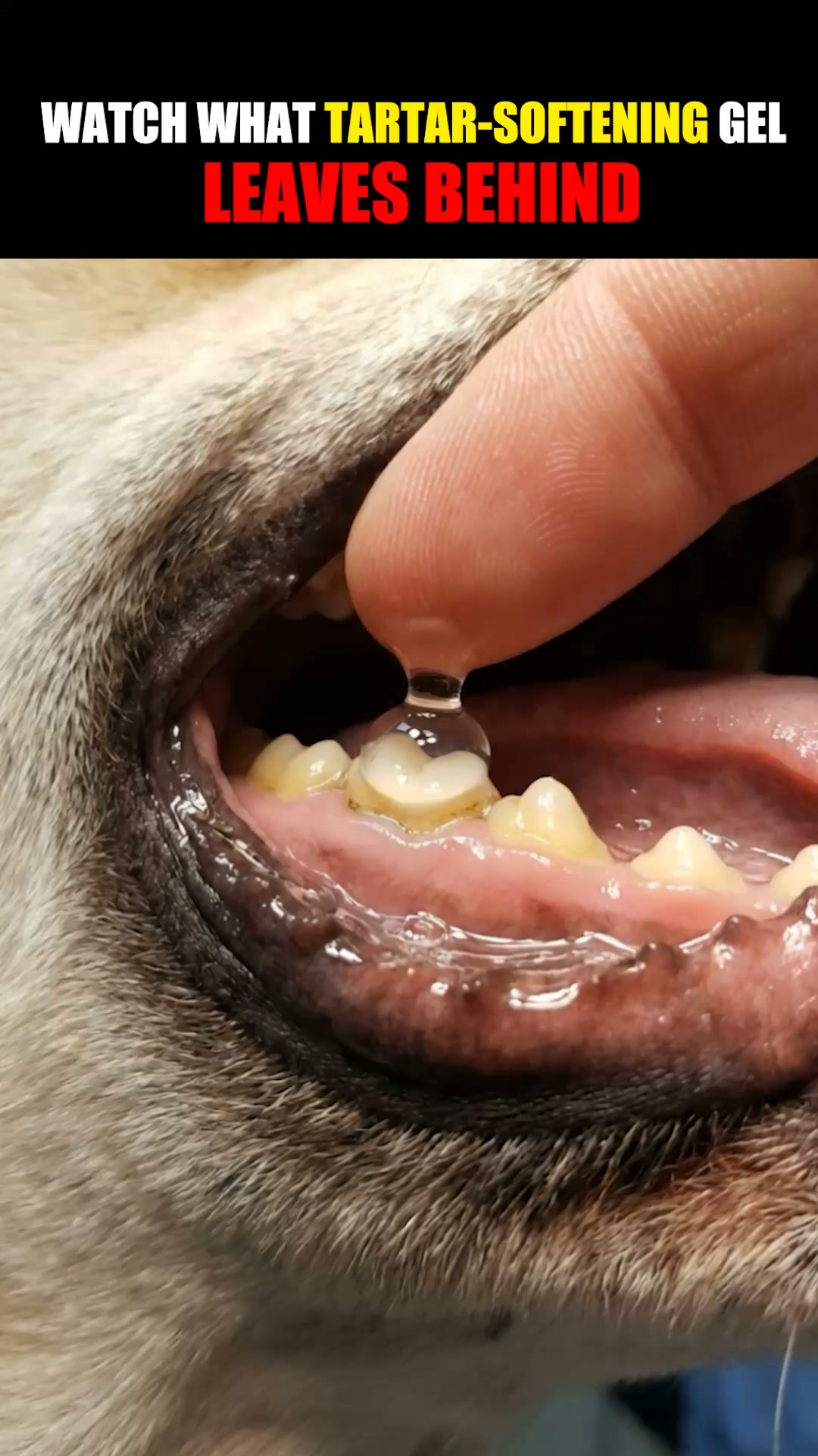 Finally - a dental wipe that actually works