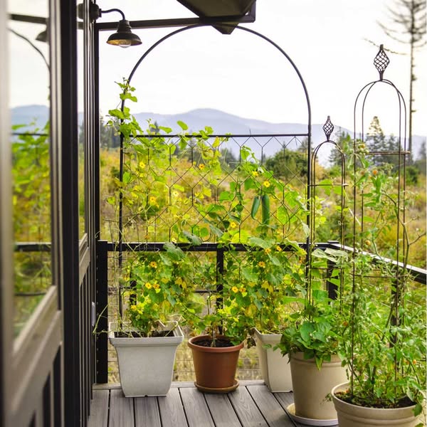 Round Screen by Agriframes™