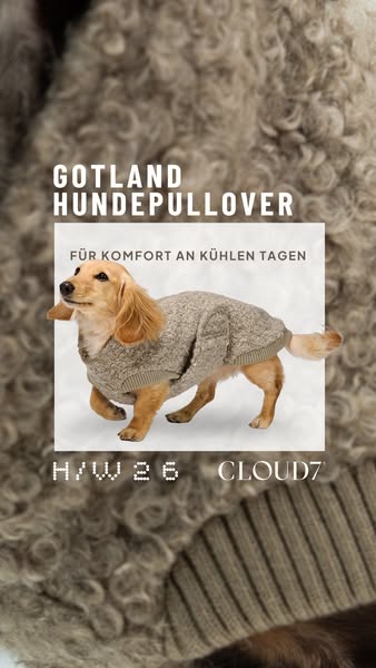 CLOUD7 | Herbst-Winter 2026