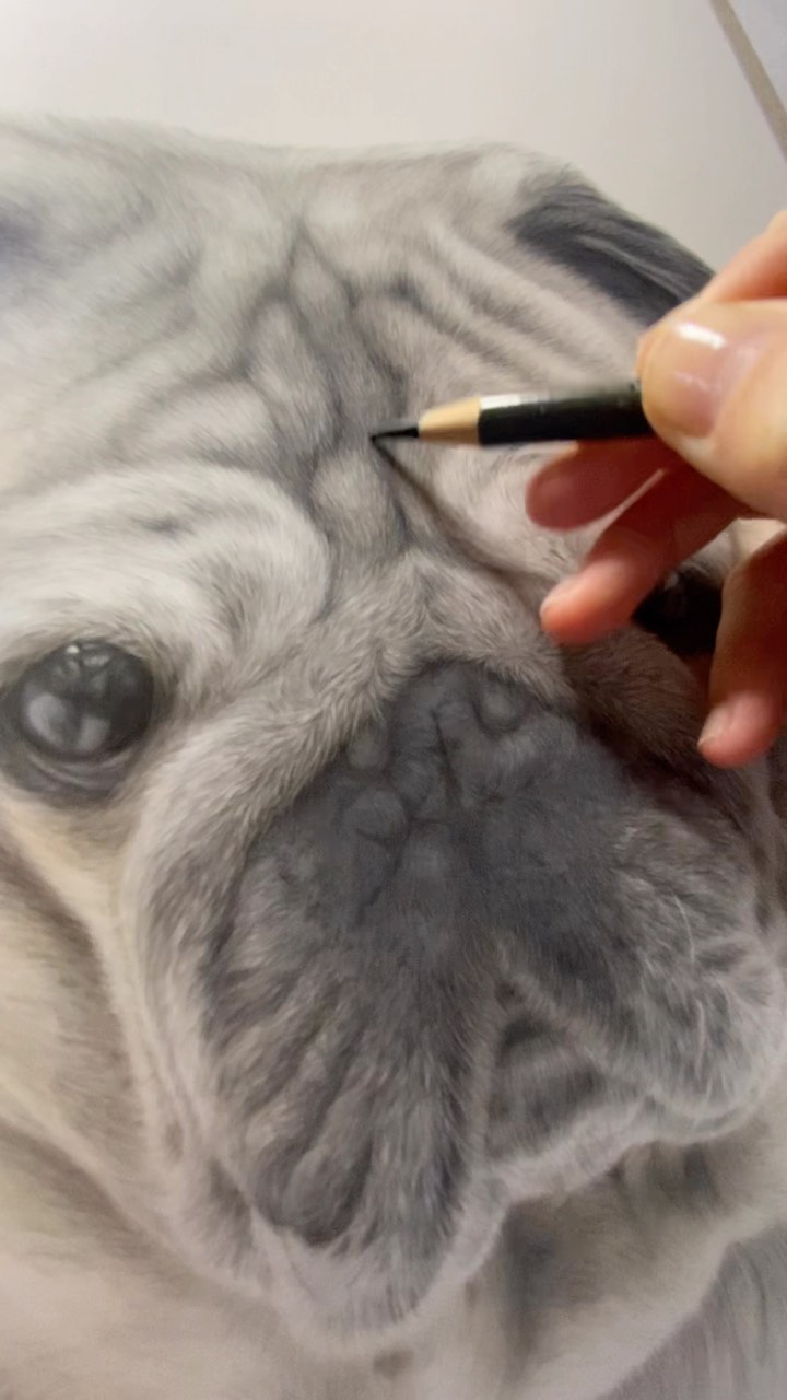 Anúncio de drawnbycharlotte