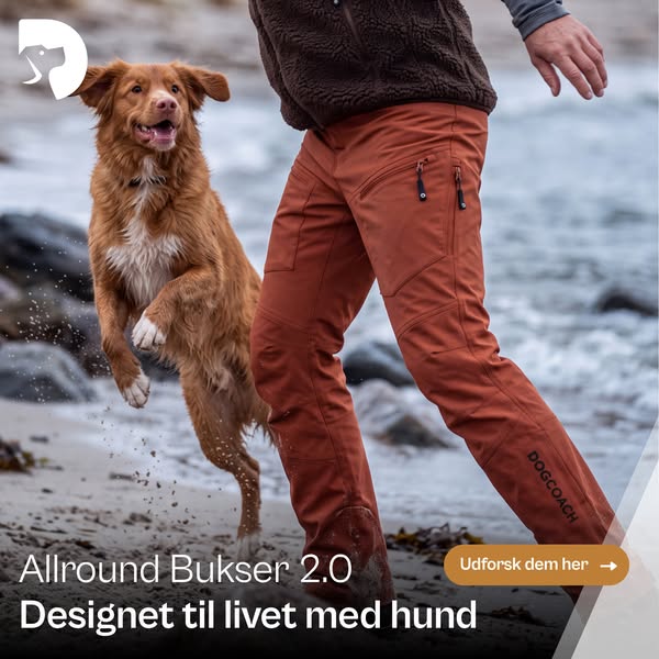 Designet til hundelivet. Stylet til hverdagen.