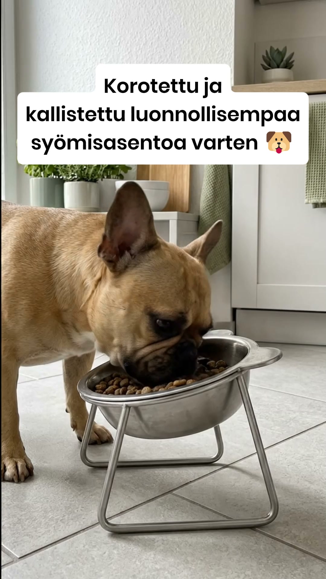Unohda muovi. Paranna ruokailuhetkeä.
