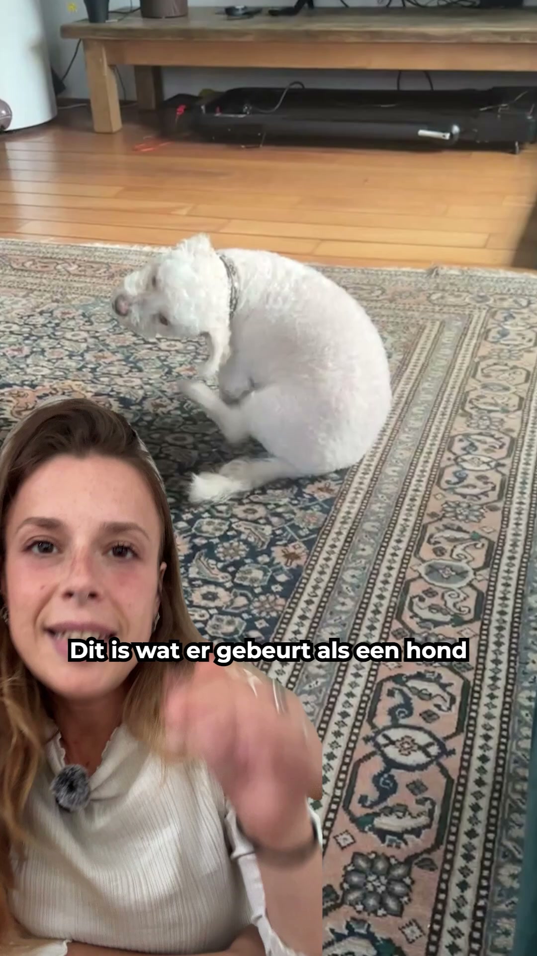 Als jouw hond constant krabt, kijk dit