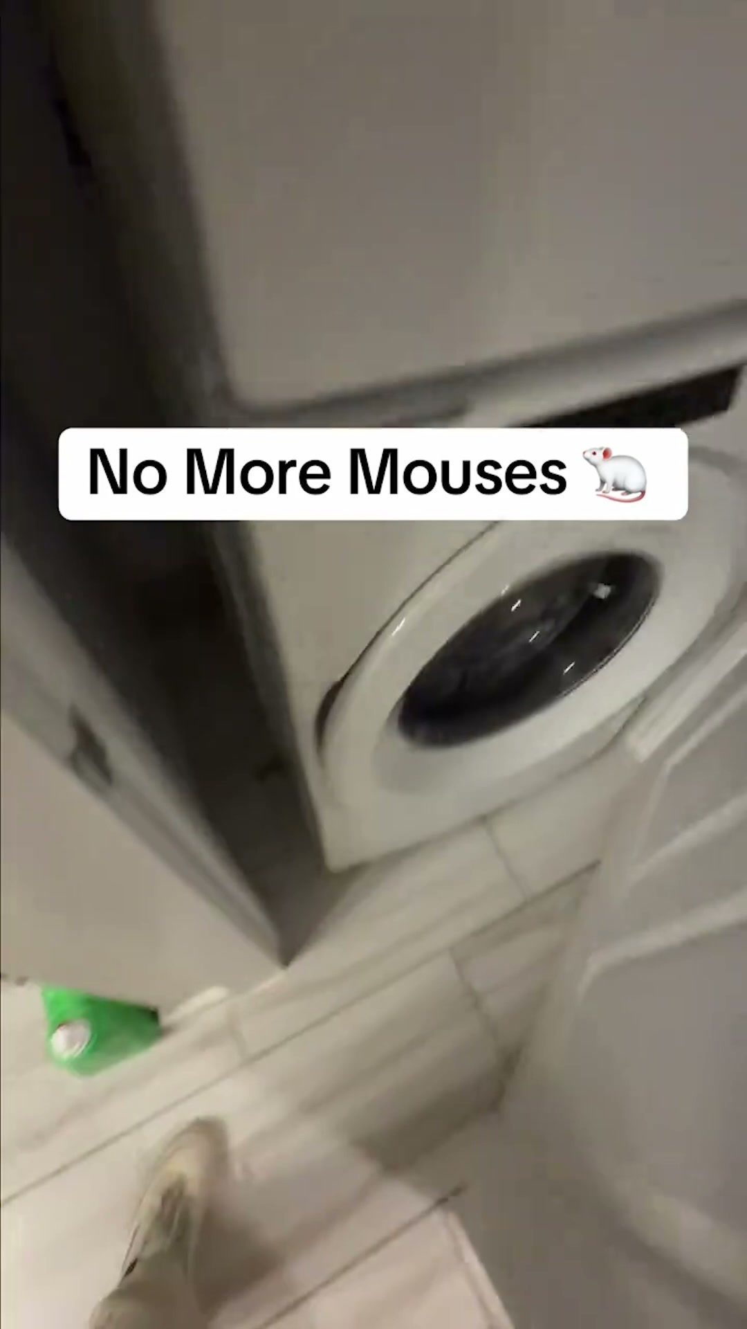 The 3-Second Solution to Keep Mice Out of Your Home!