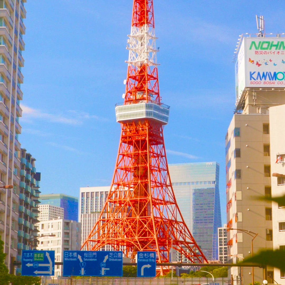 Experience Tokyo, One Surprise at a Time!