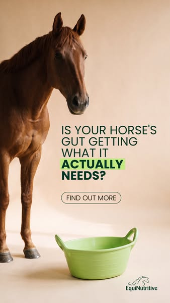 Purpose-Built Nutrition for Horses.