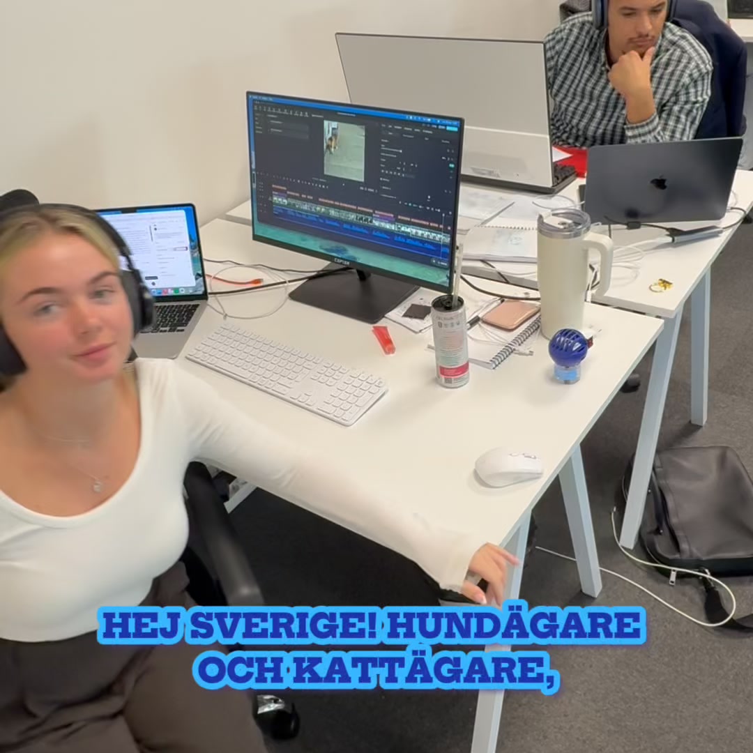 För en lugnare hund