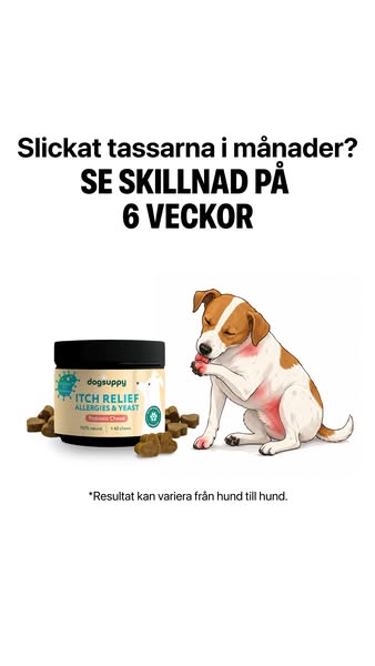 Testa i 60 dagar med garanti
