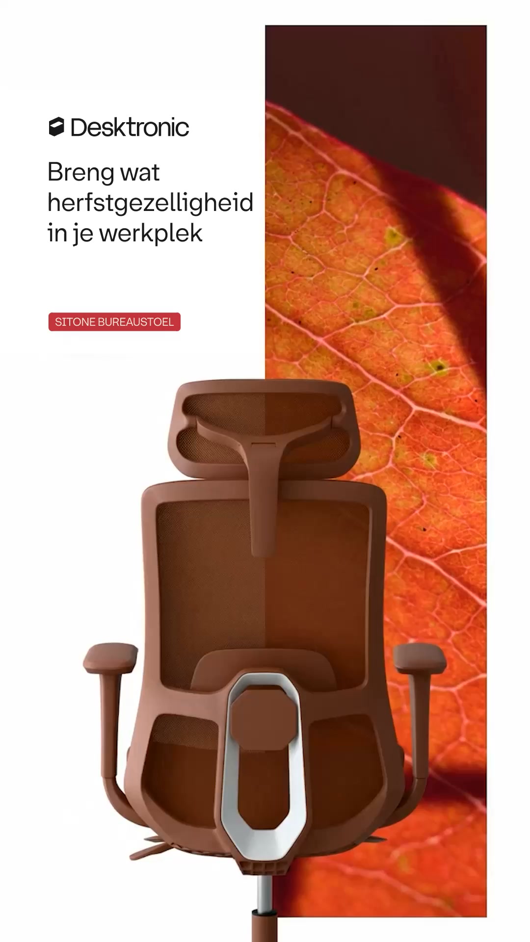 Tijd voor een gezellige herfst
