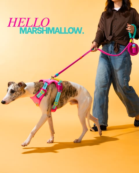 Meet the Marshmallow Leash