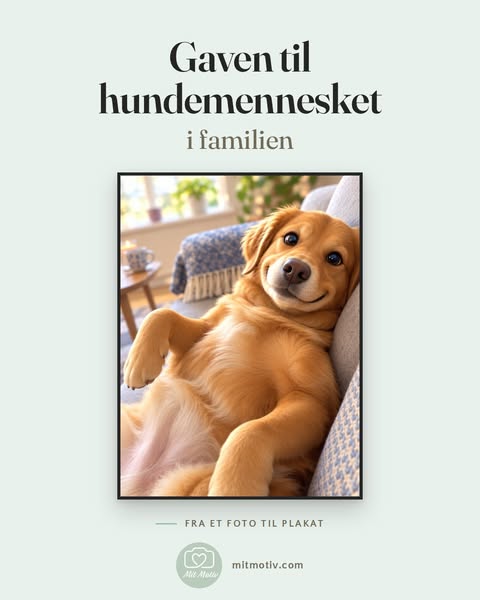 Gaven til hundemennesket