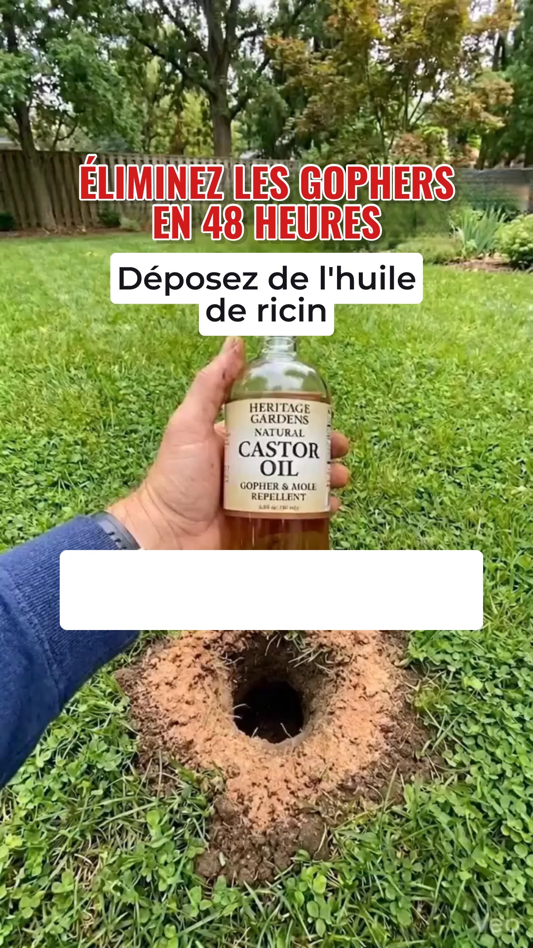 Toutes les solutions pour souris ont échoué. Sauf celle-ci...