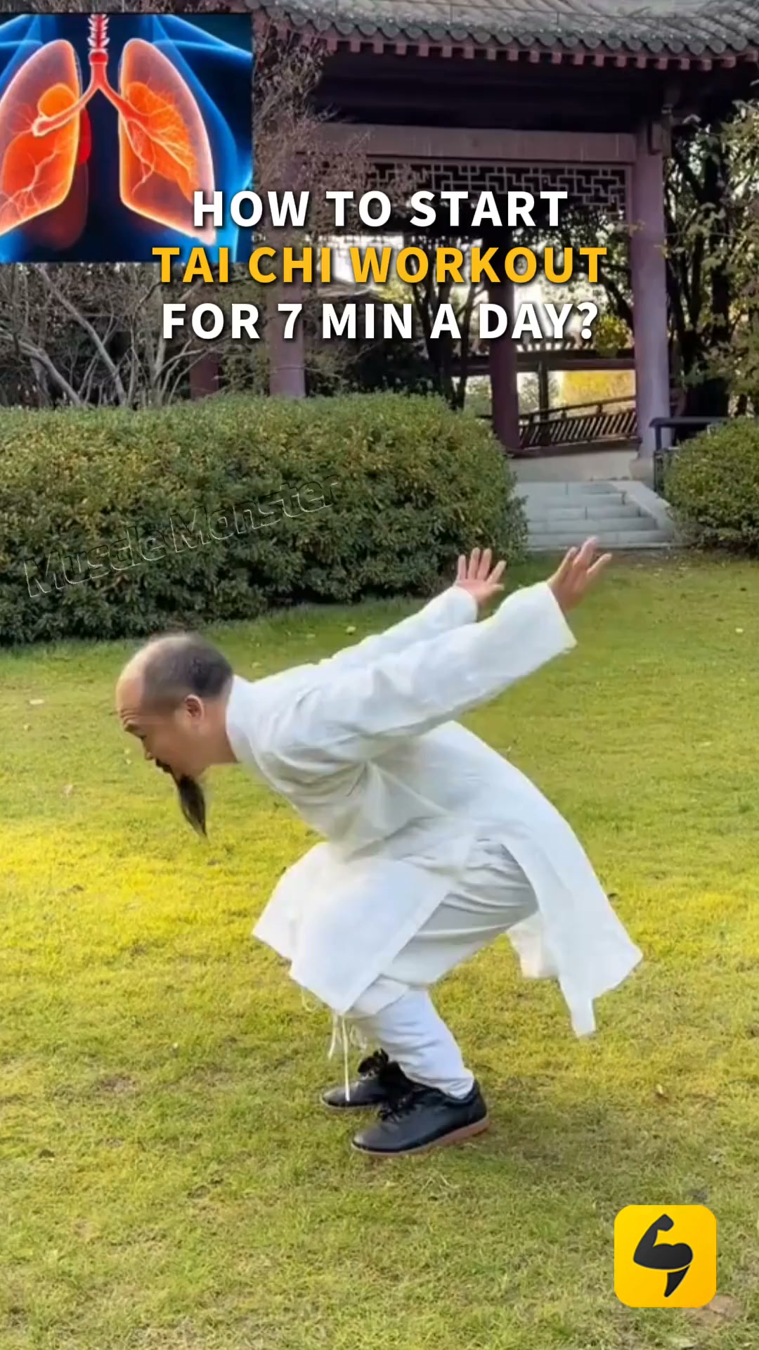 Start Training!