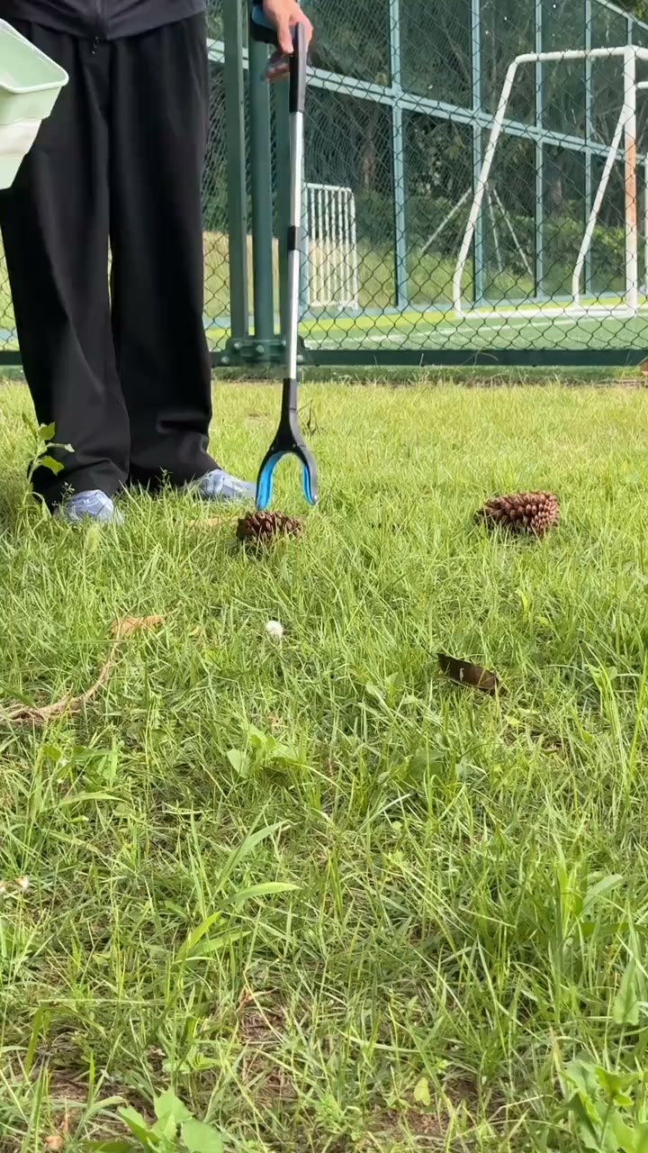 Reach Anything Without the Strain