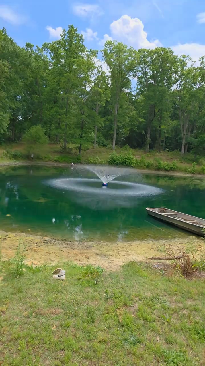 Create A Beautiful Backyard Pond