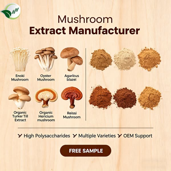 Premium Mushroom Extract Supplier