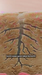 De precieze reden waarom Gezondheidsweek besloot Supplend onder de loep te nemen