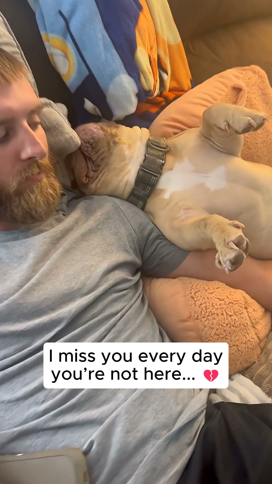 #1 Pet Memory