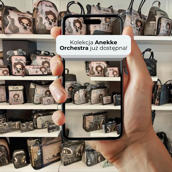 Anekke Orchestra