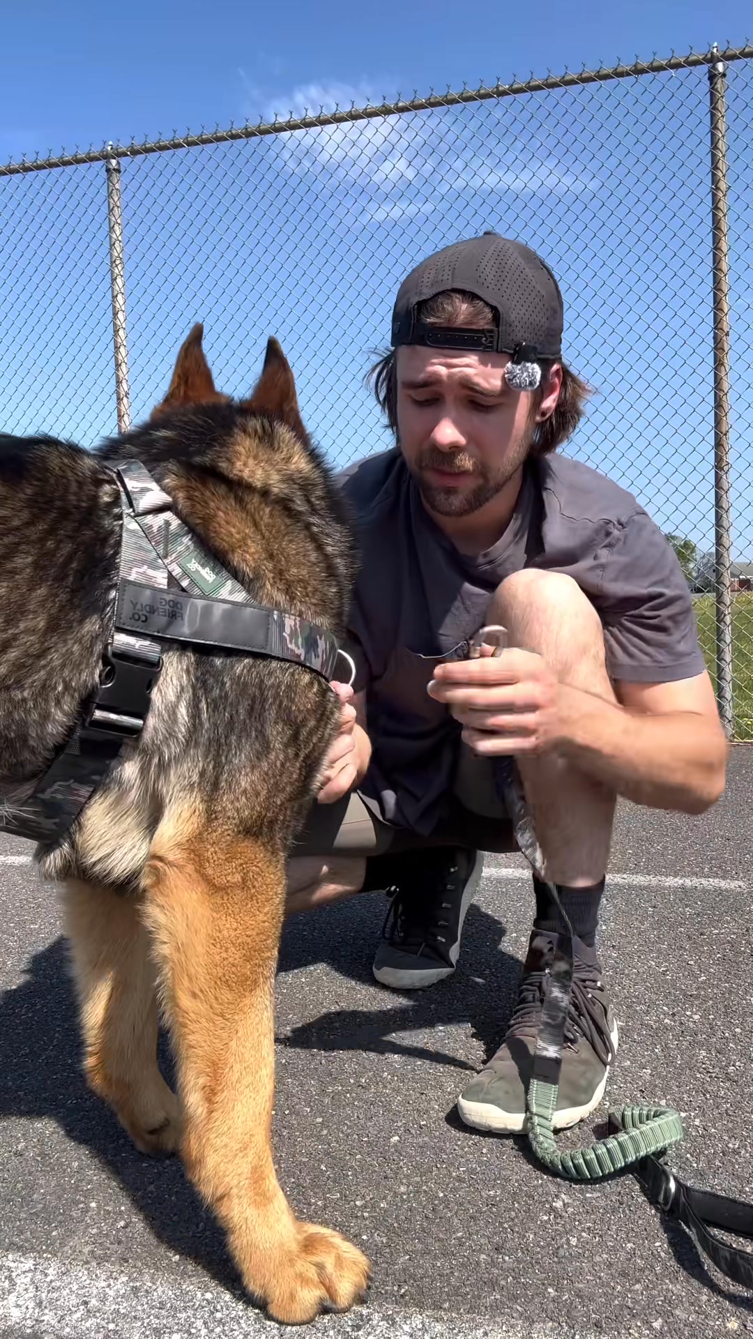 Rated #1 By Dog Owners
