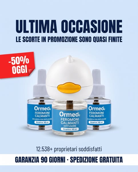 50% Oggi