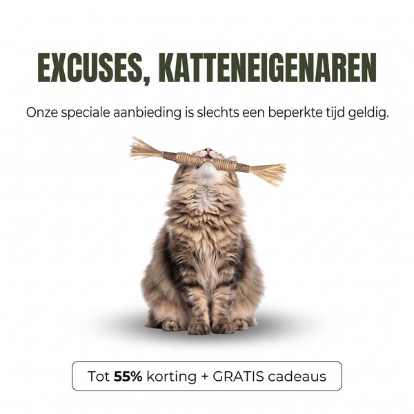 Geef jouw kat de verzorging die hij verdient