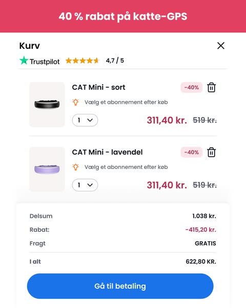 Juni-tilbud: -40 %