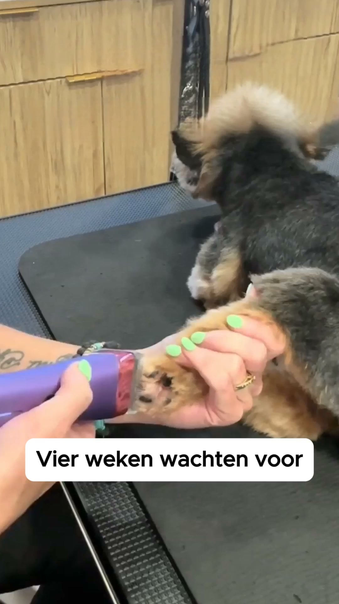 Speciaal voor tussen de pootjes