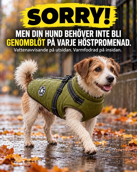 Se erbjudandet