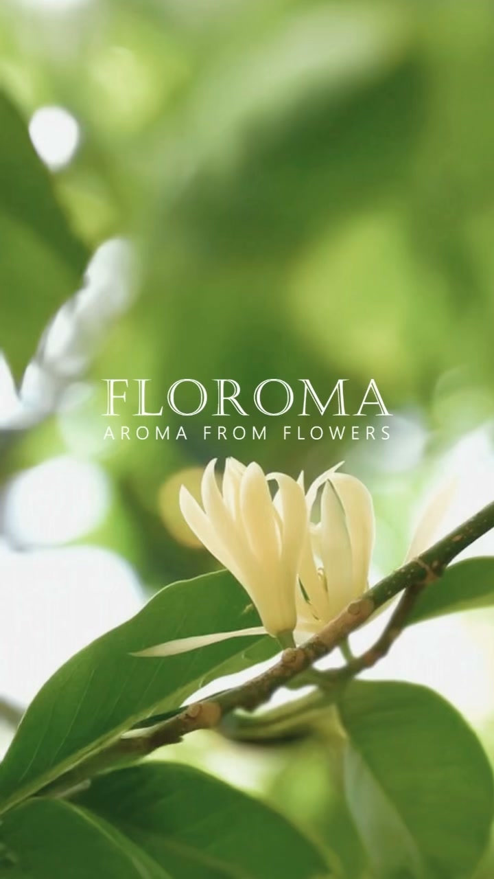 Floroma White Orchid Perfume Free shipping