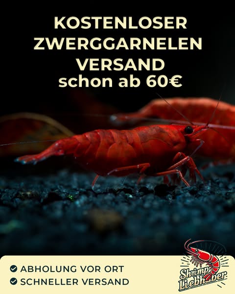 Aquaristik mit Anspruch – jetzt sparen