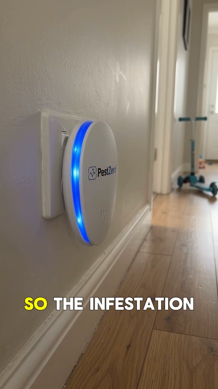 Tried Everything For Bed Bugs?