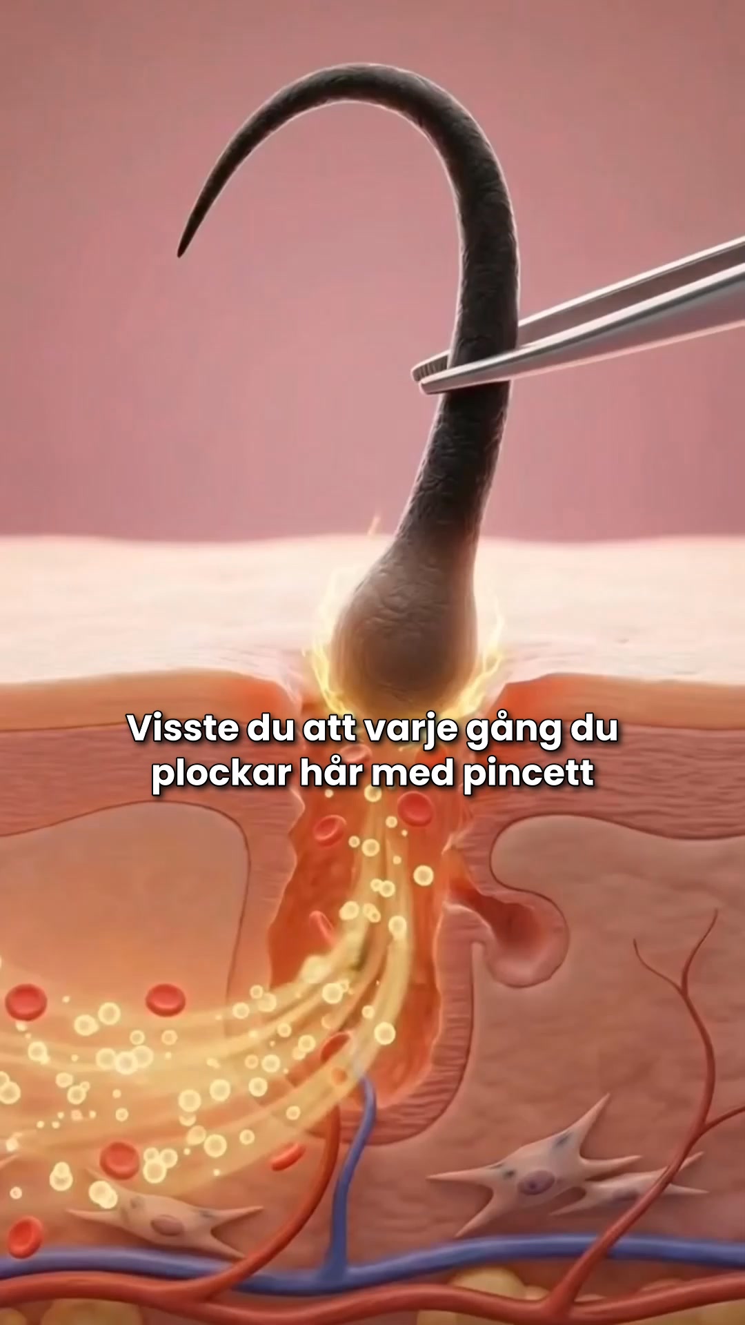 Hatar du att raka dig?