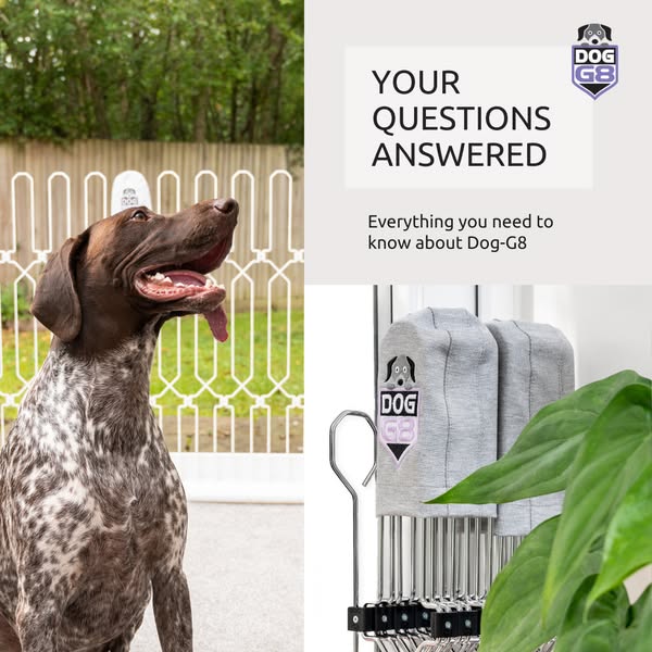 Dog-G8 | Keeping Dogs Safe