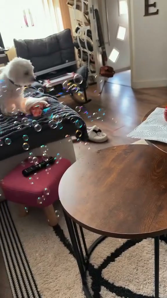 Weihnachtsstimmung war gestern – jetzt wird’s richtig lustig!