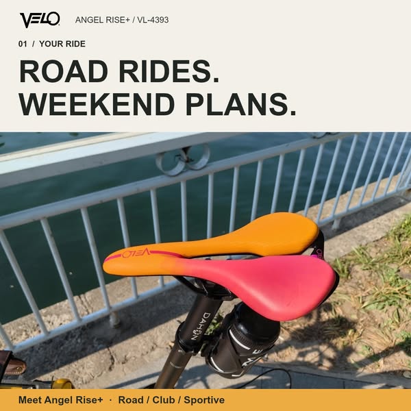 Meet the VELO Angel Rise+
