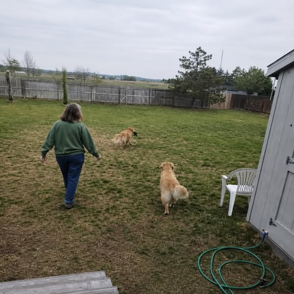 The silent deficiency in dogs no one talks about...