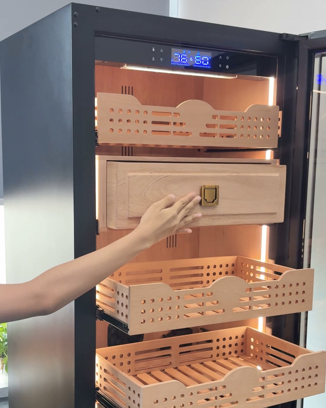 Up to 1,000 Pieces. One Serious Collection Cabinet.