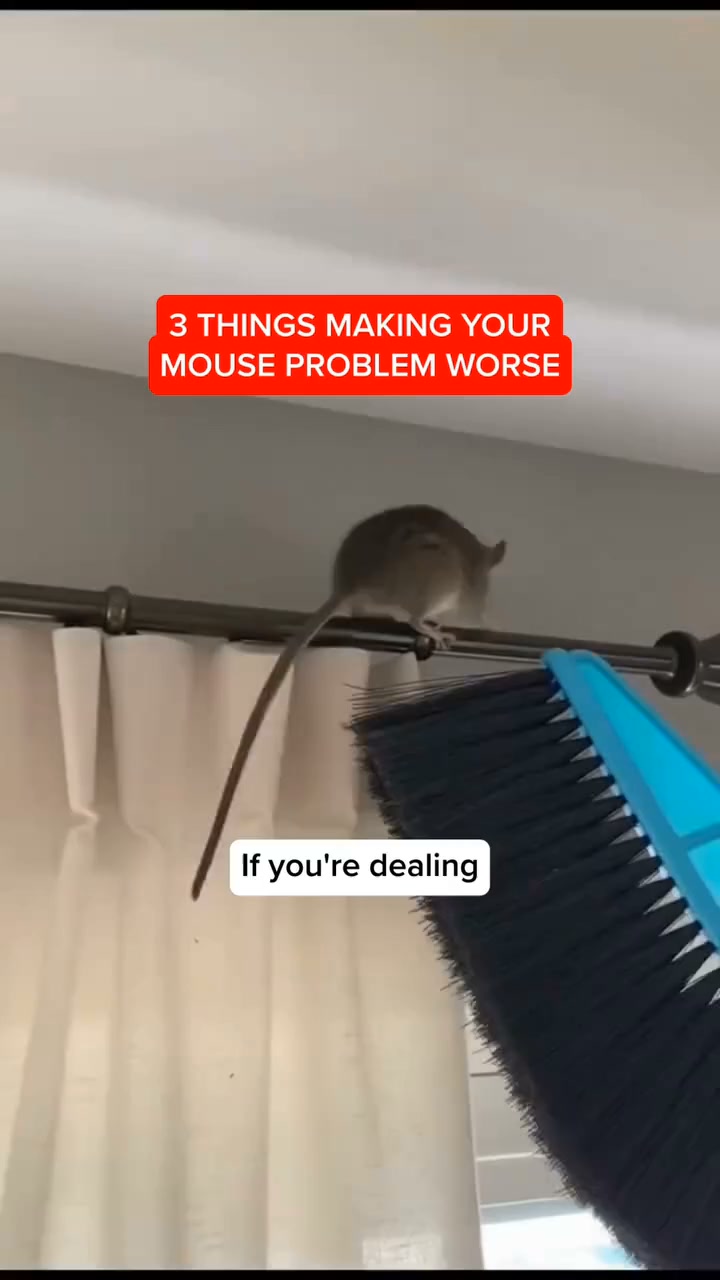 Every mouse solution failed. Except this..