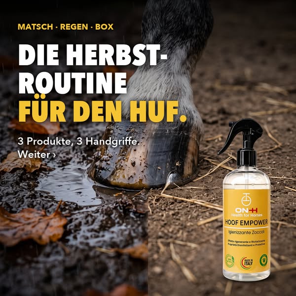 Die Herbst-Routine