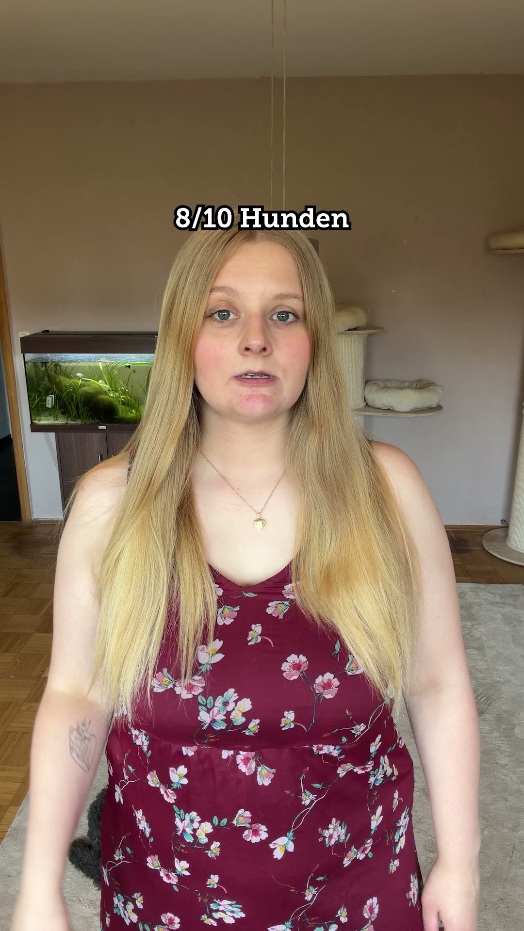 Nur das Beste für deinen Vierbeiner