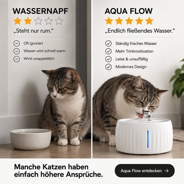 Deine Katze ignoriert jeden Wassernapf?