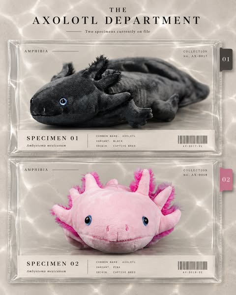 Welcome to the Axolotl Department