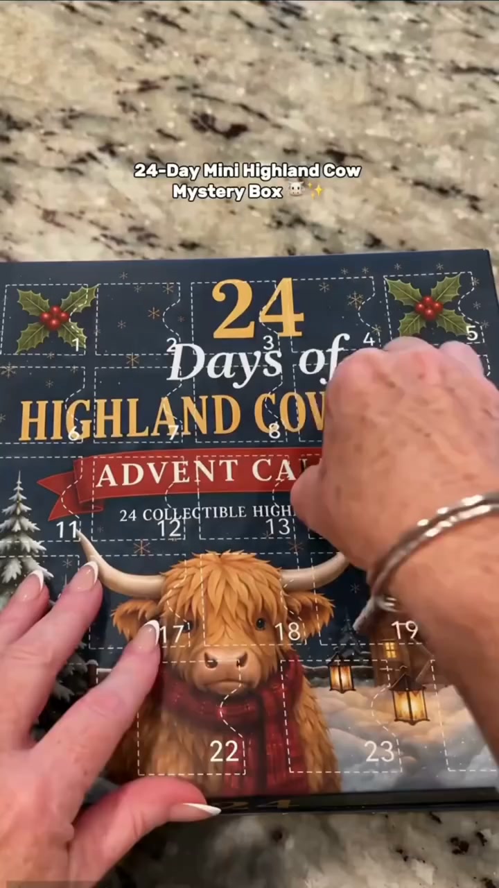 24 Days of Cow Magic Unfolds