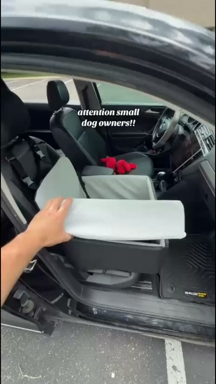 Every Dog Owner Needs One Of These