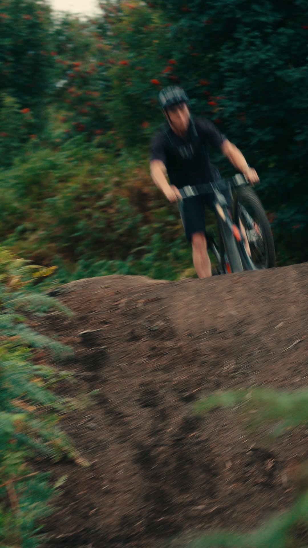 Test RIDE Bundle + FREE Shipping